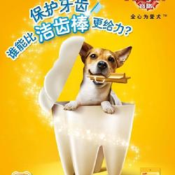 《寵物食品 從生存口糧到愛的專屬符號(hào)》